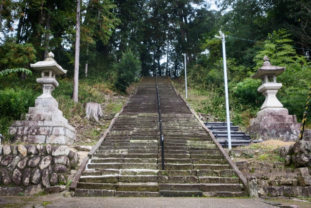 30009527_s.jpg