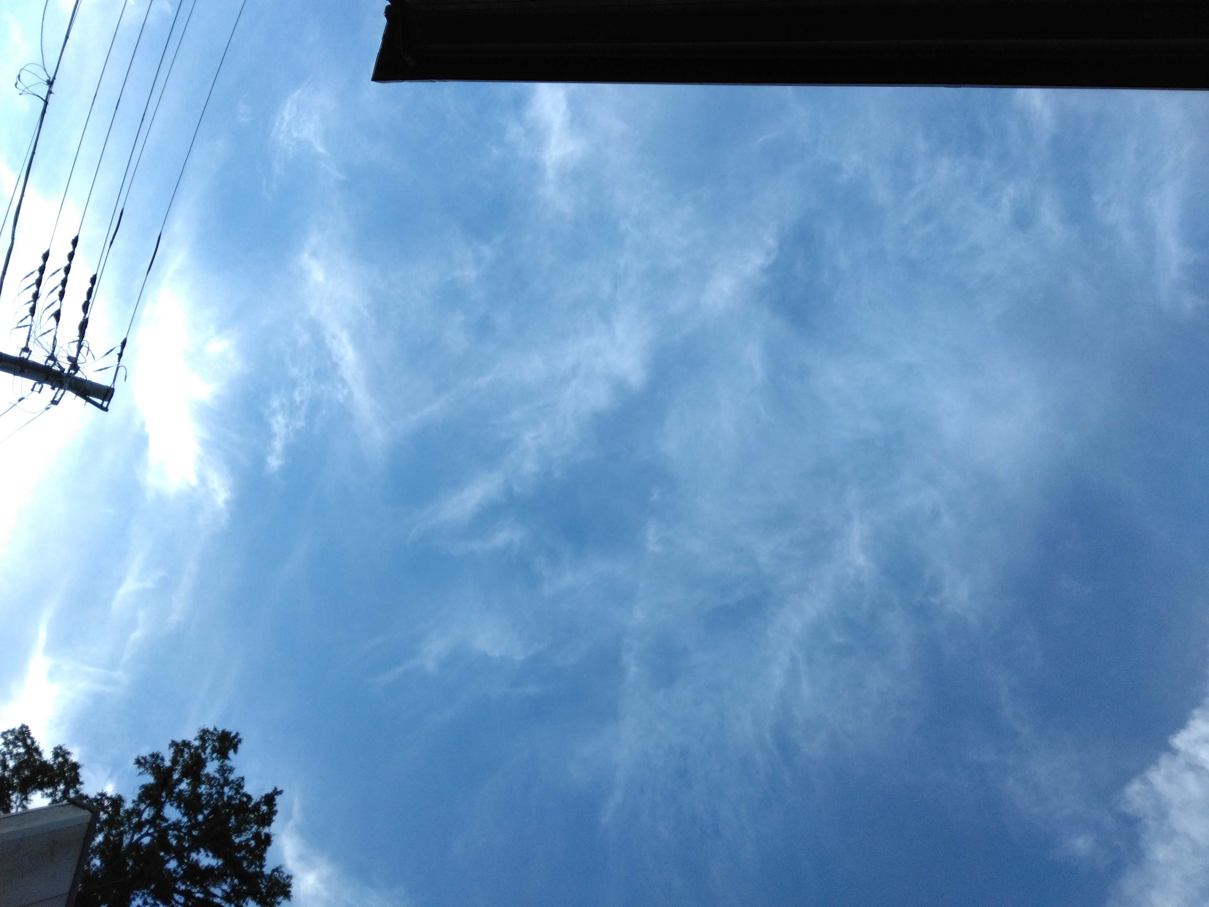 IMG_20250728_174314.jpg