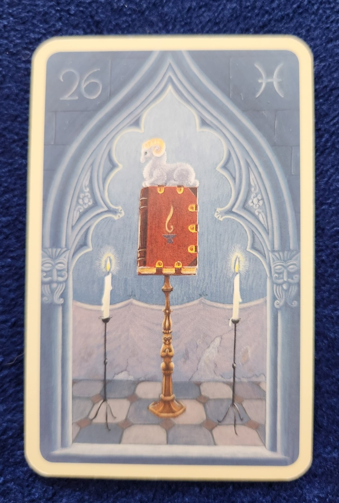 20230927_090410 (002).jpg