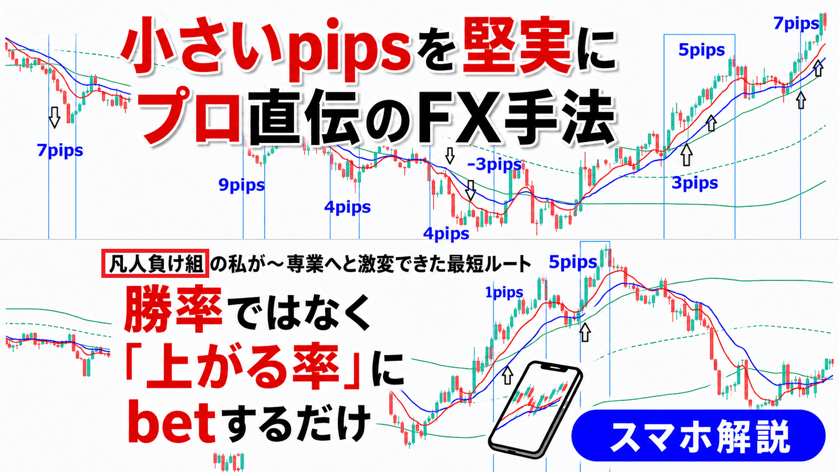 @new小pips1.png