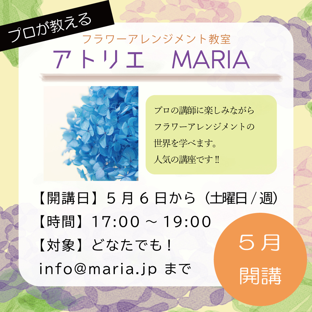 アジサイ.jpg