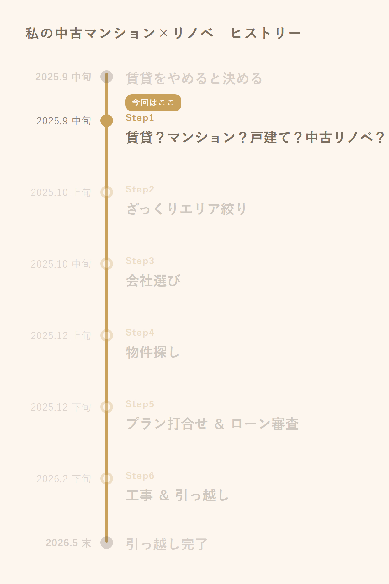 fig_時系列_今回はStep1.png