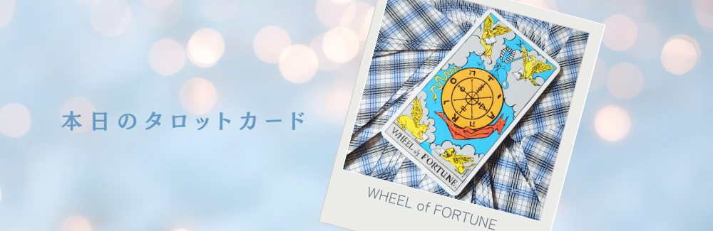 blog_vol4_card.png