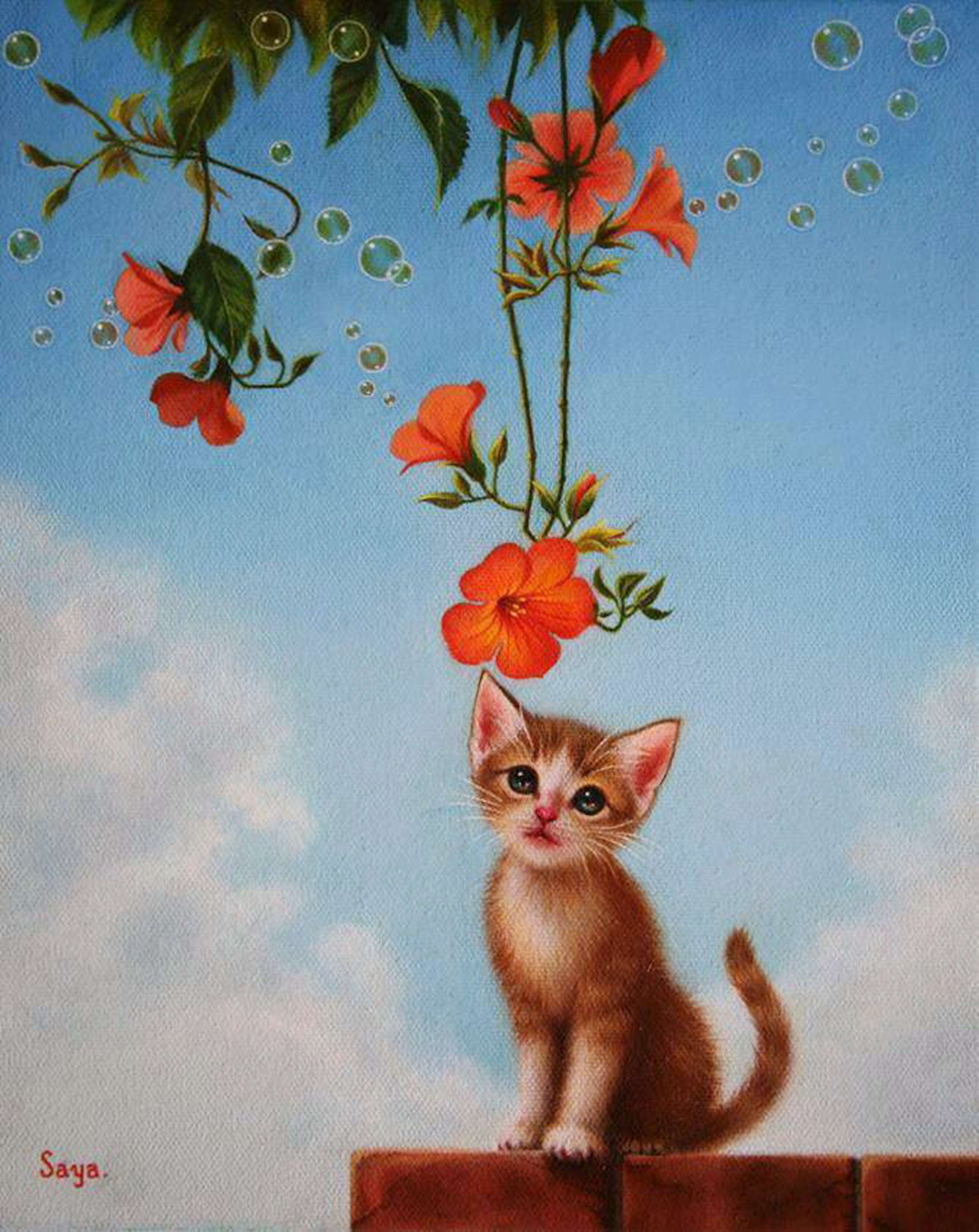 26 小さな恋のメロディ.jpg