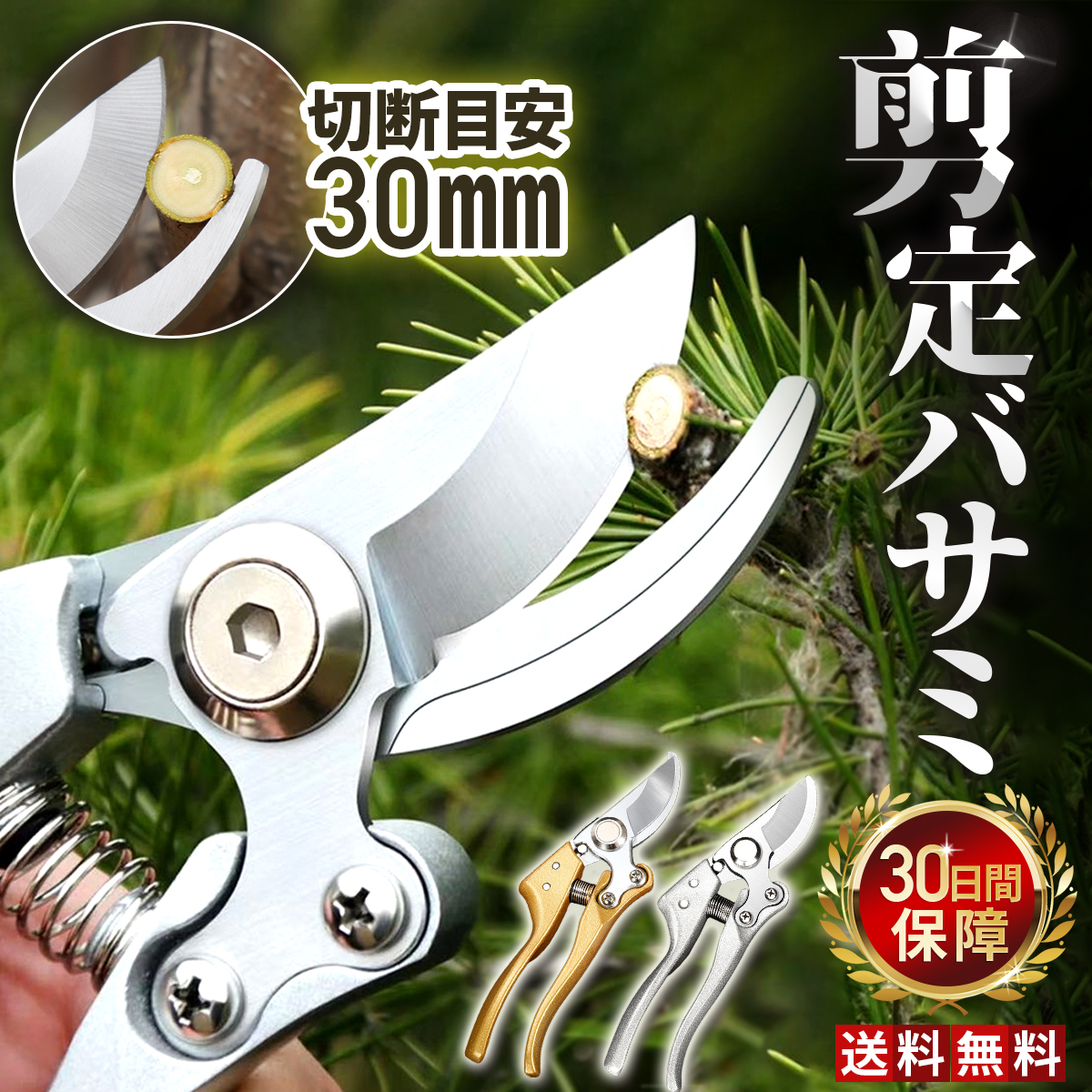 サムネイル.jpg
