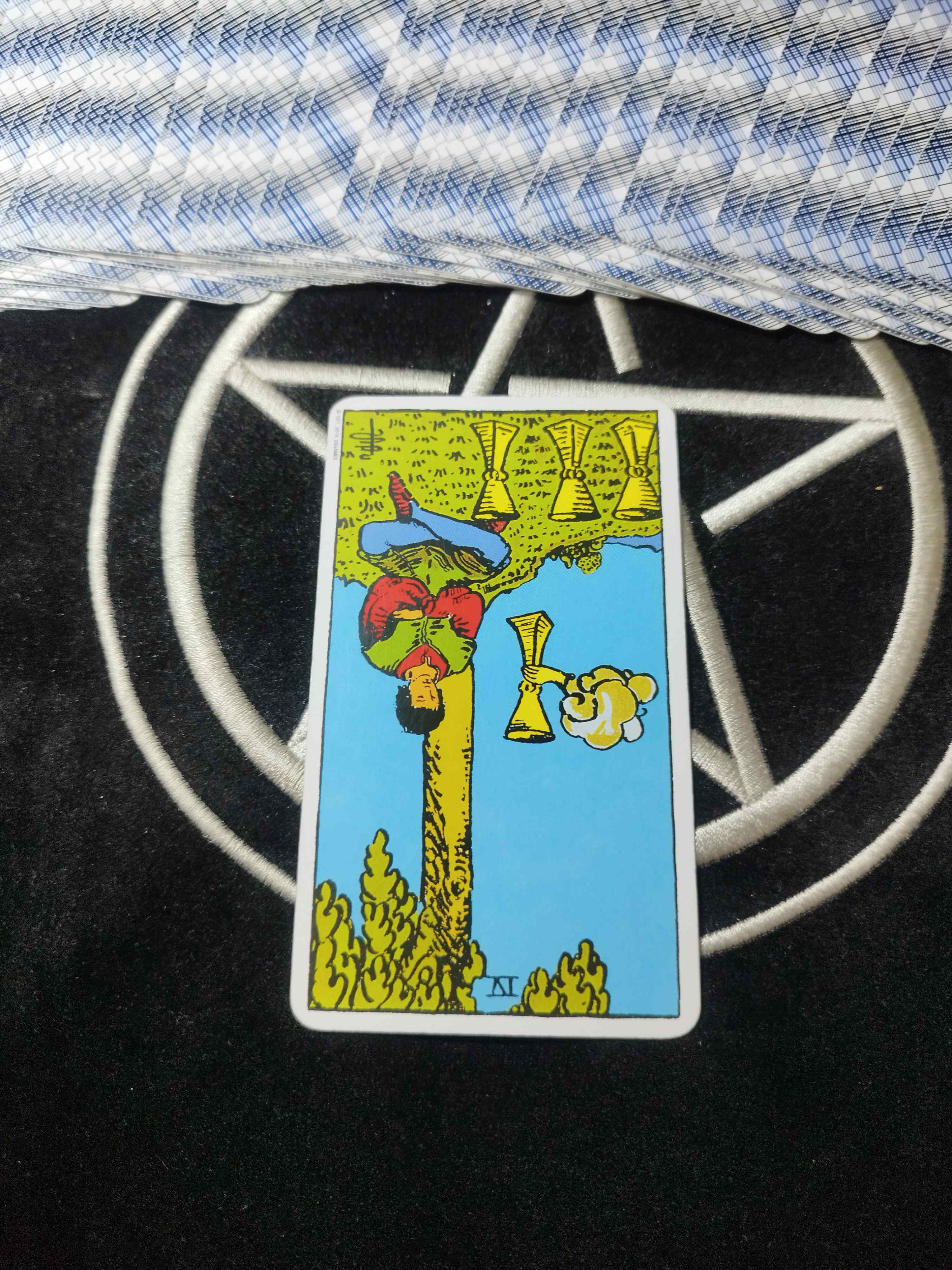1000034096.jpg