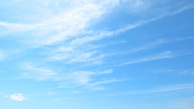 26089470_s.jpg