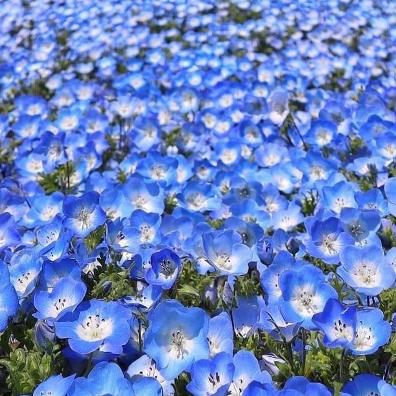 S__19800084.jpg