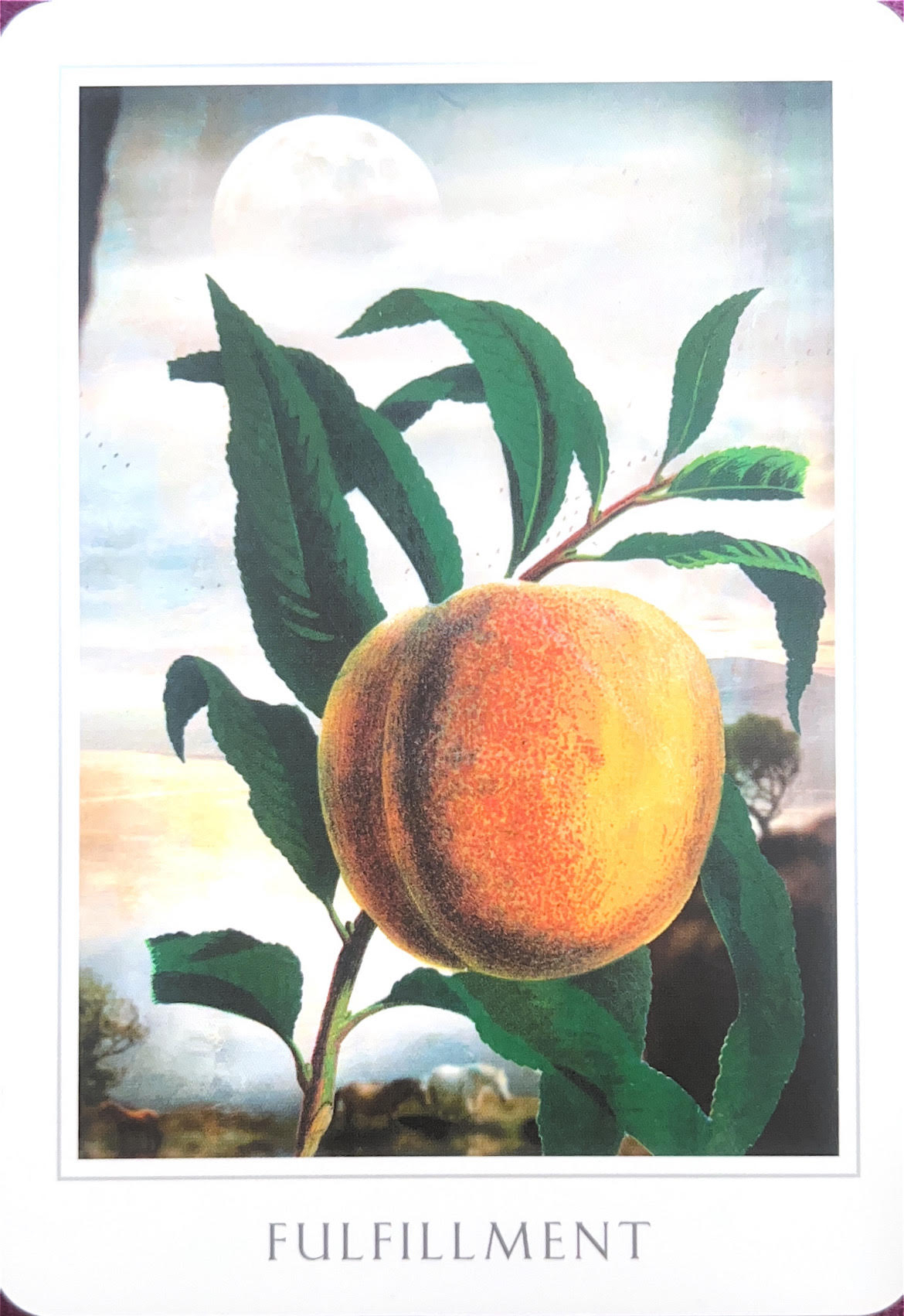 FULFILLMENT.jpg