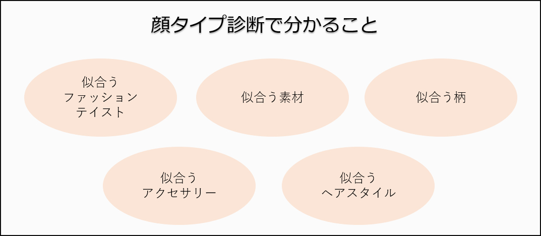 顔タイプ-図1.jpeg