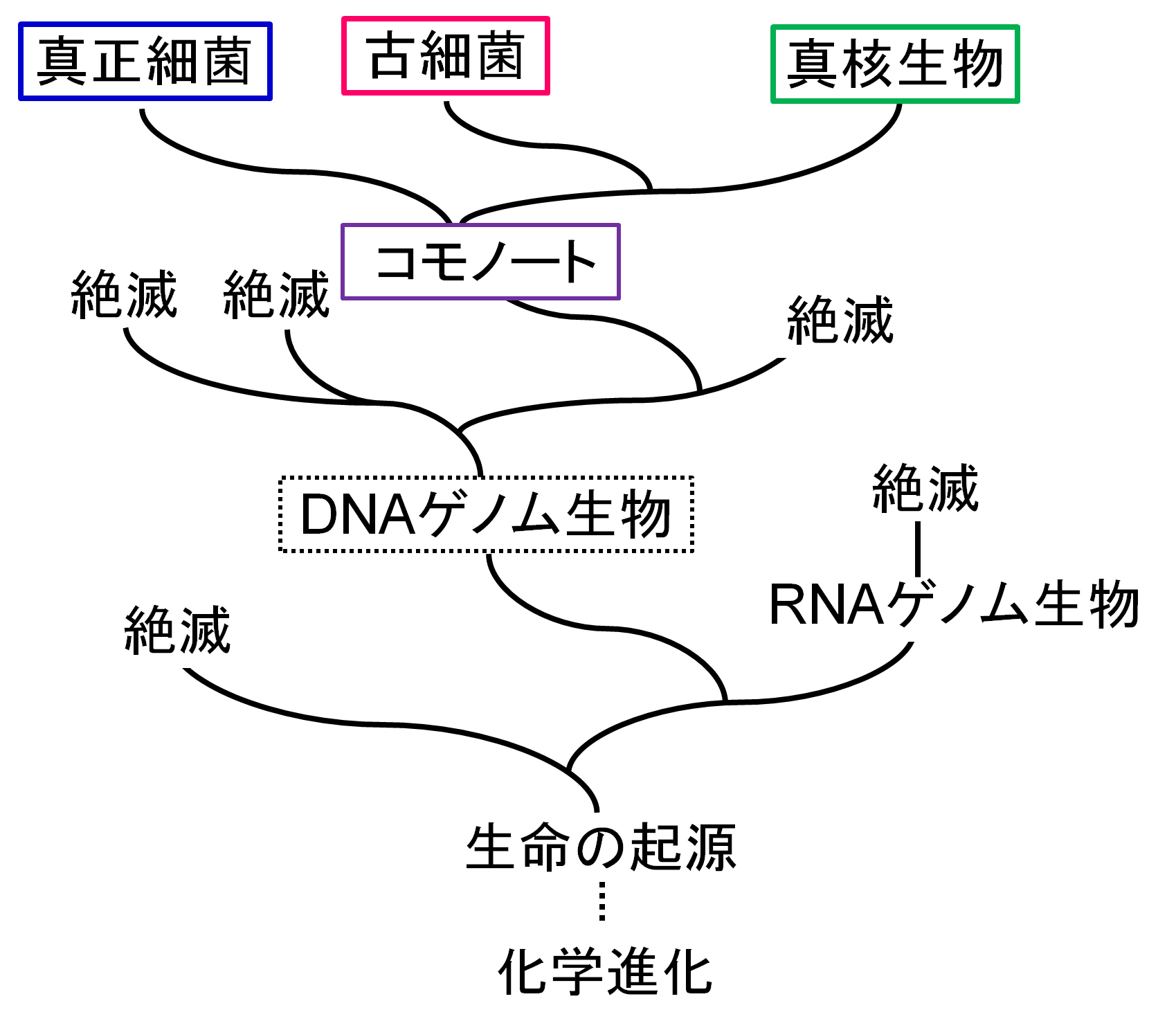 進化.jpg