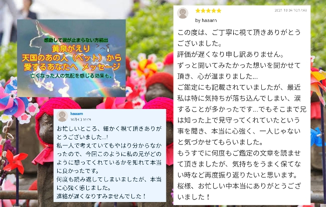 よみがえり評価.jpg