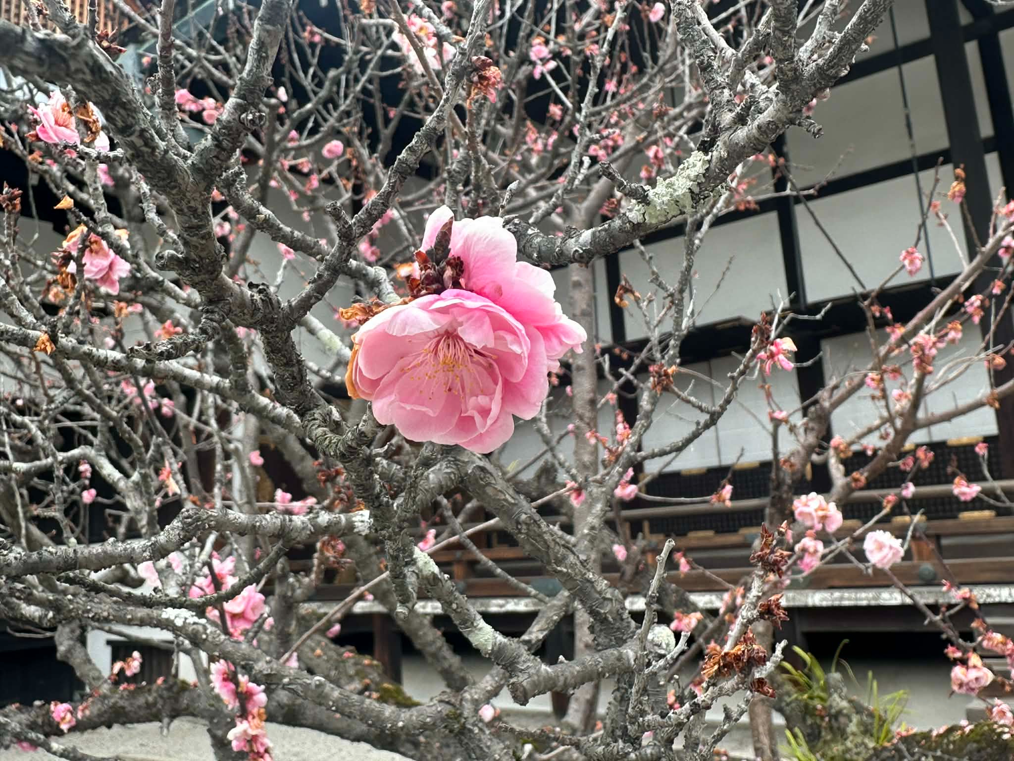 7febd408-2aa8-4627-b0b6-8631562dc920 (1).jpg