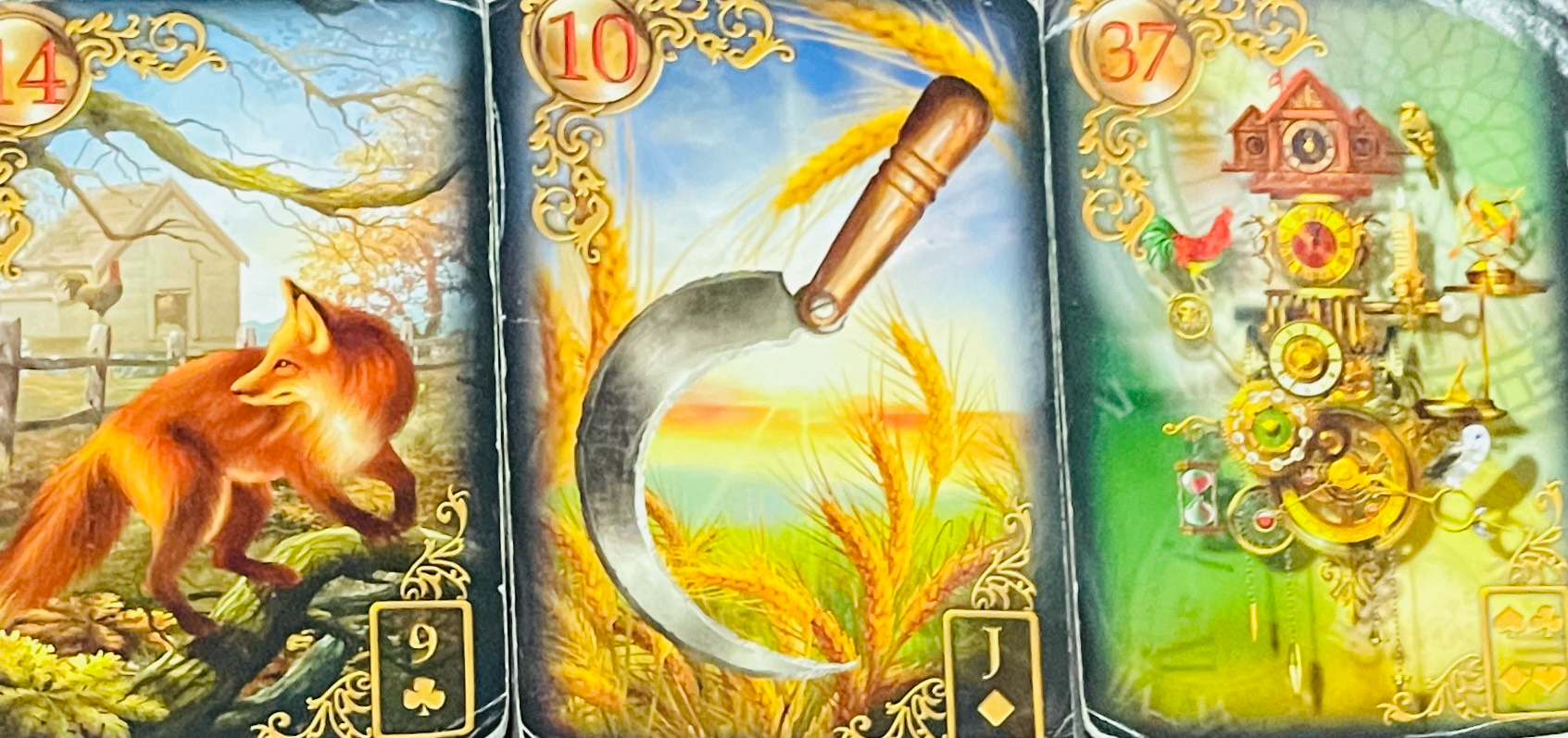 S__199106567.jpg
