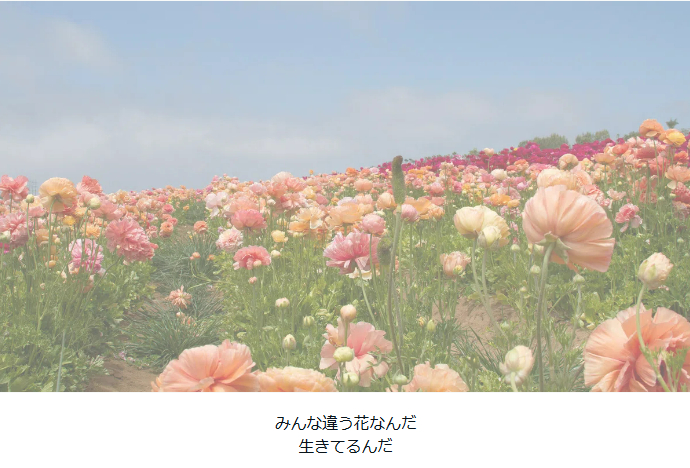 25タイトルなし.png