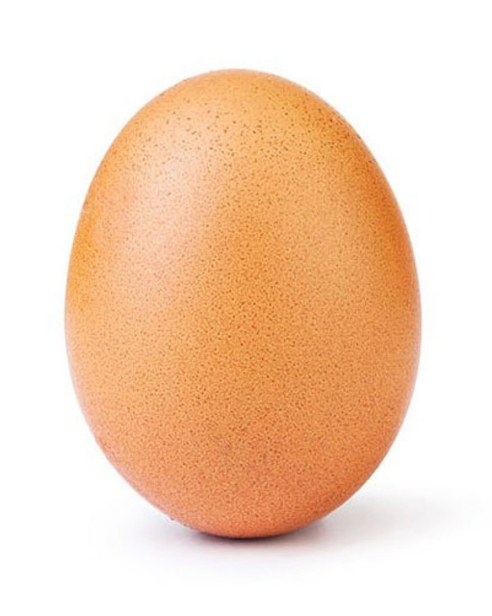 egg.png
