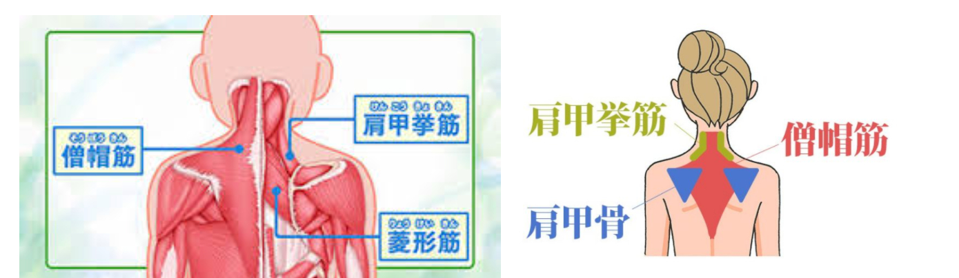 スクリーンショット 2022-01-20 15.57.53.png