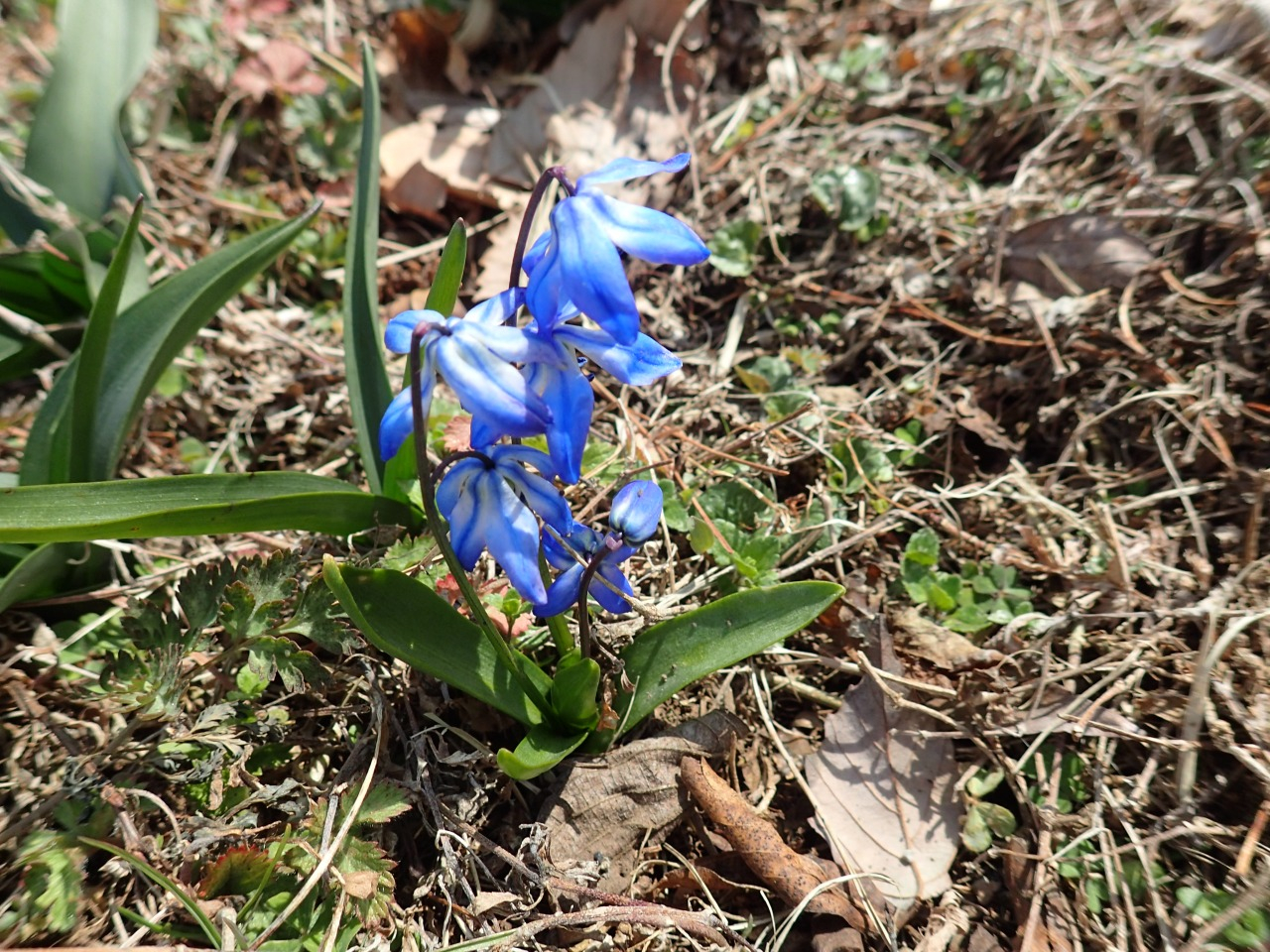 P3170503.JPG