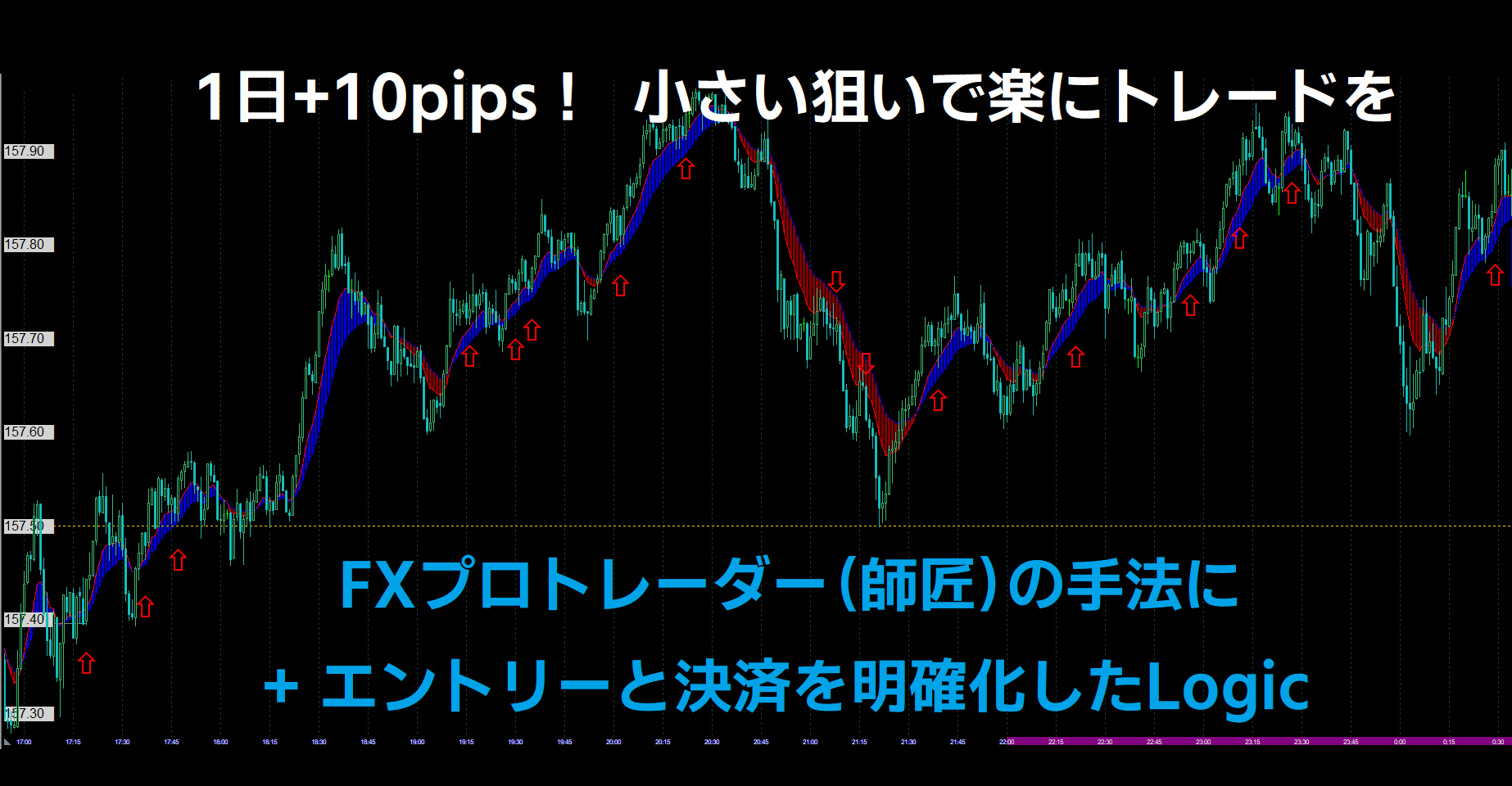sale-top2.png