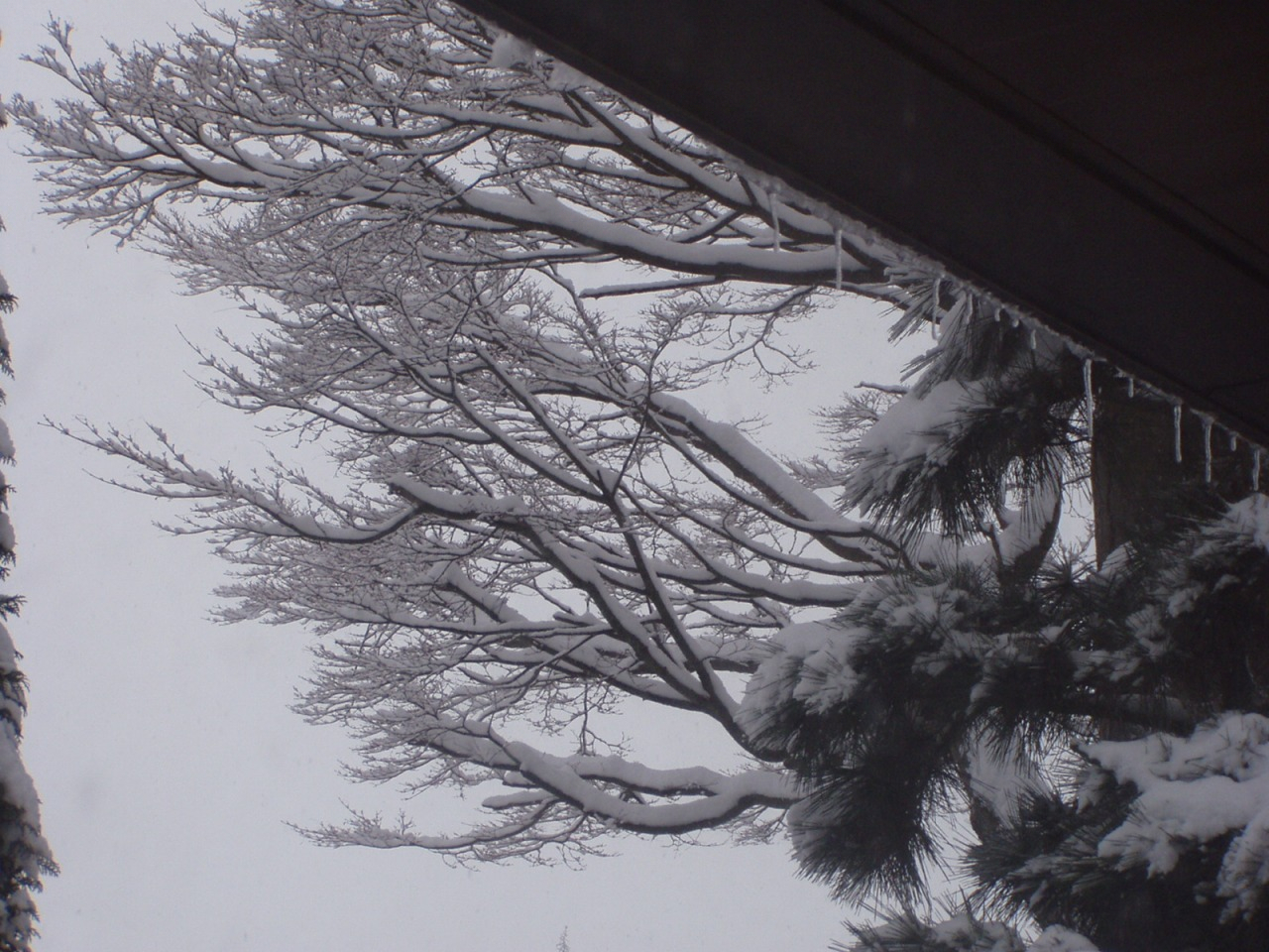 P1010030.JPG