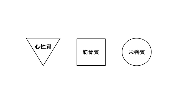 顔の３タイプ.png