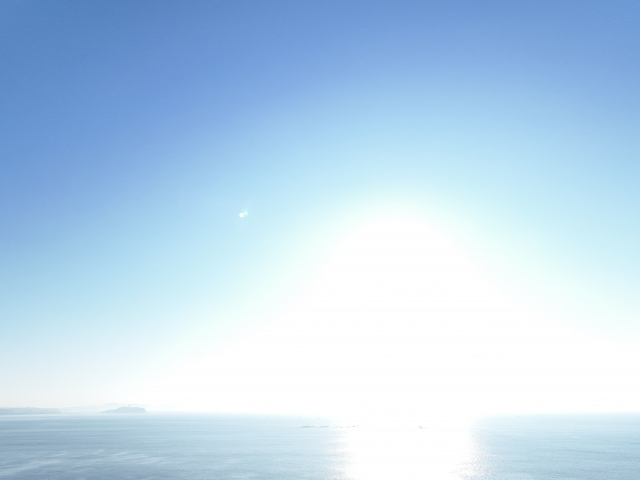 25680494_s.jpg