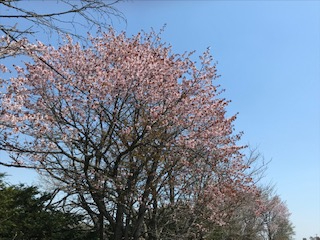 IMG_3499.jpg