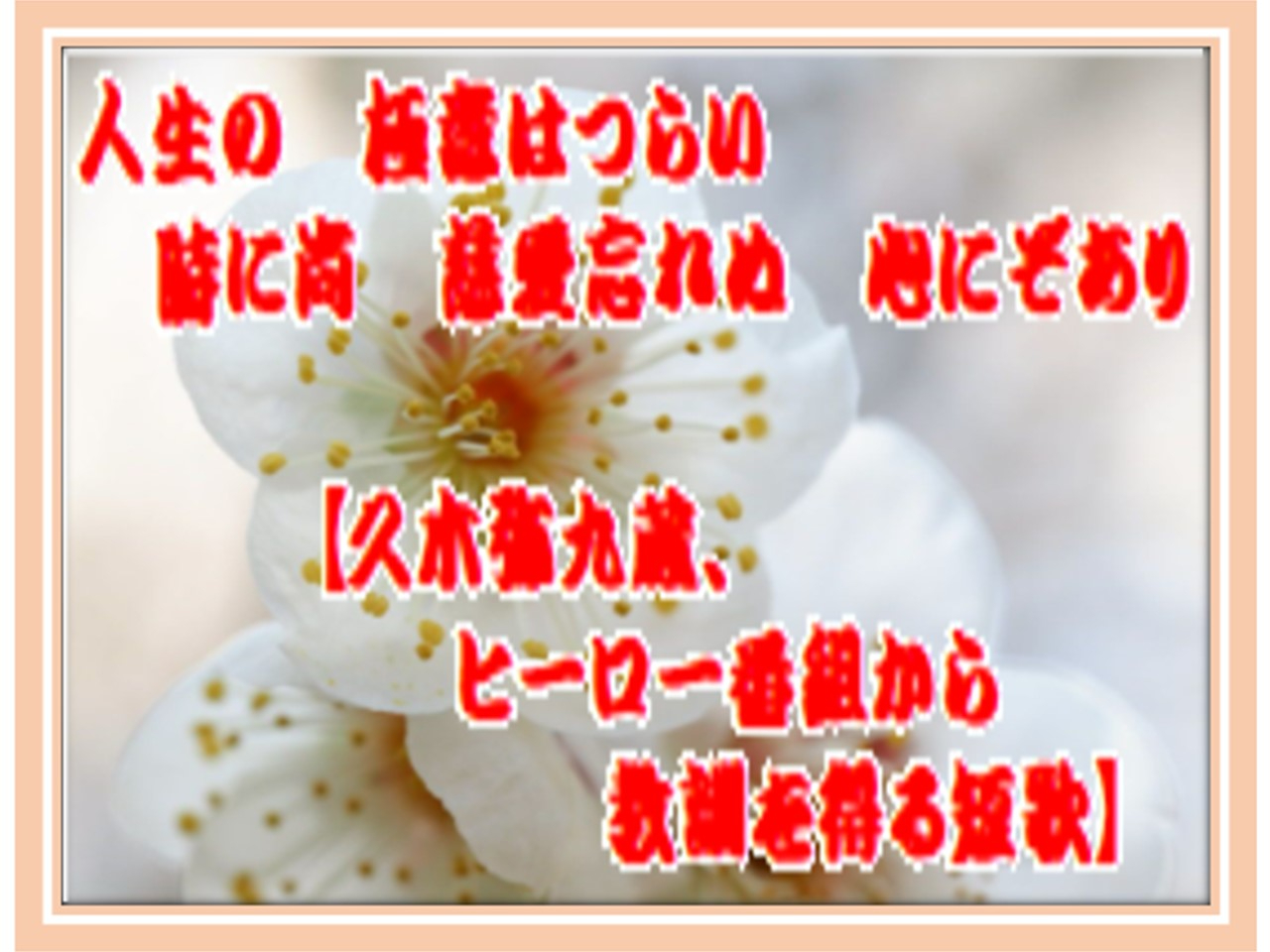 梅花.jpg