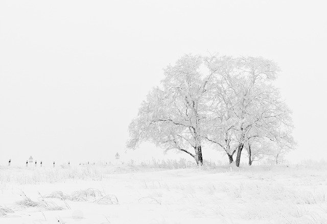 winter-20234_640.jpg