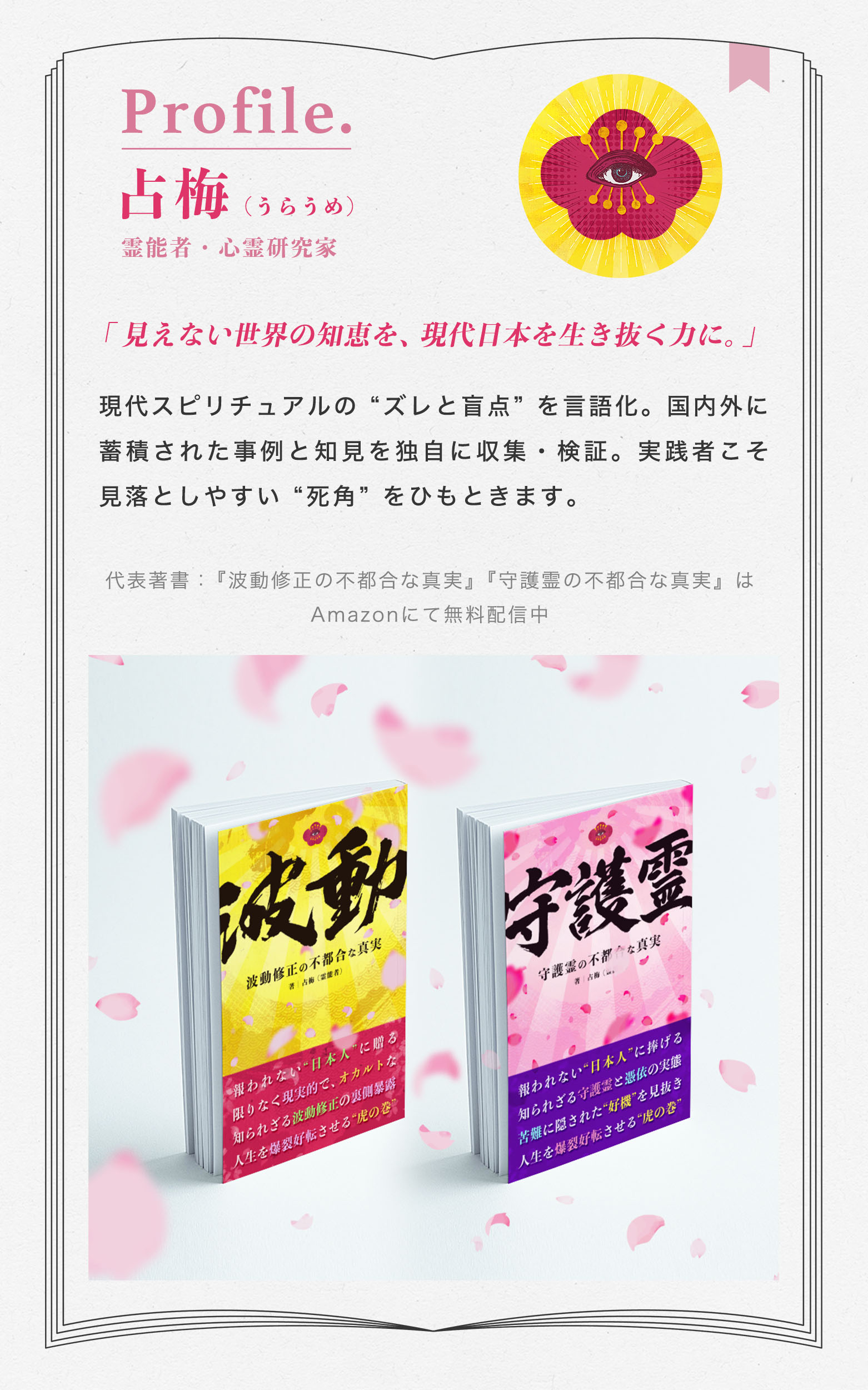 プロフ_占梅_書籍紹介_HOW_最新.jpg