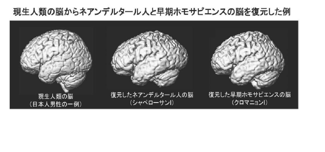 タイトルなし.png