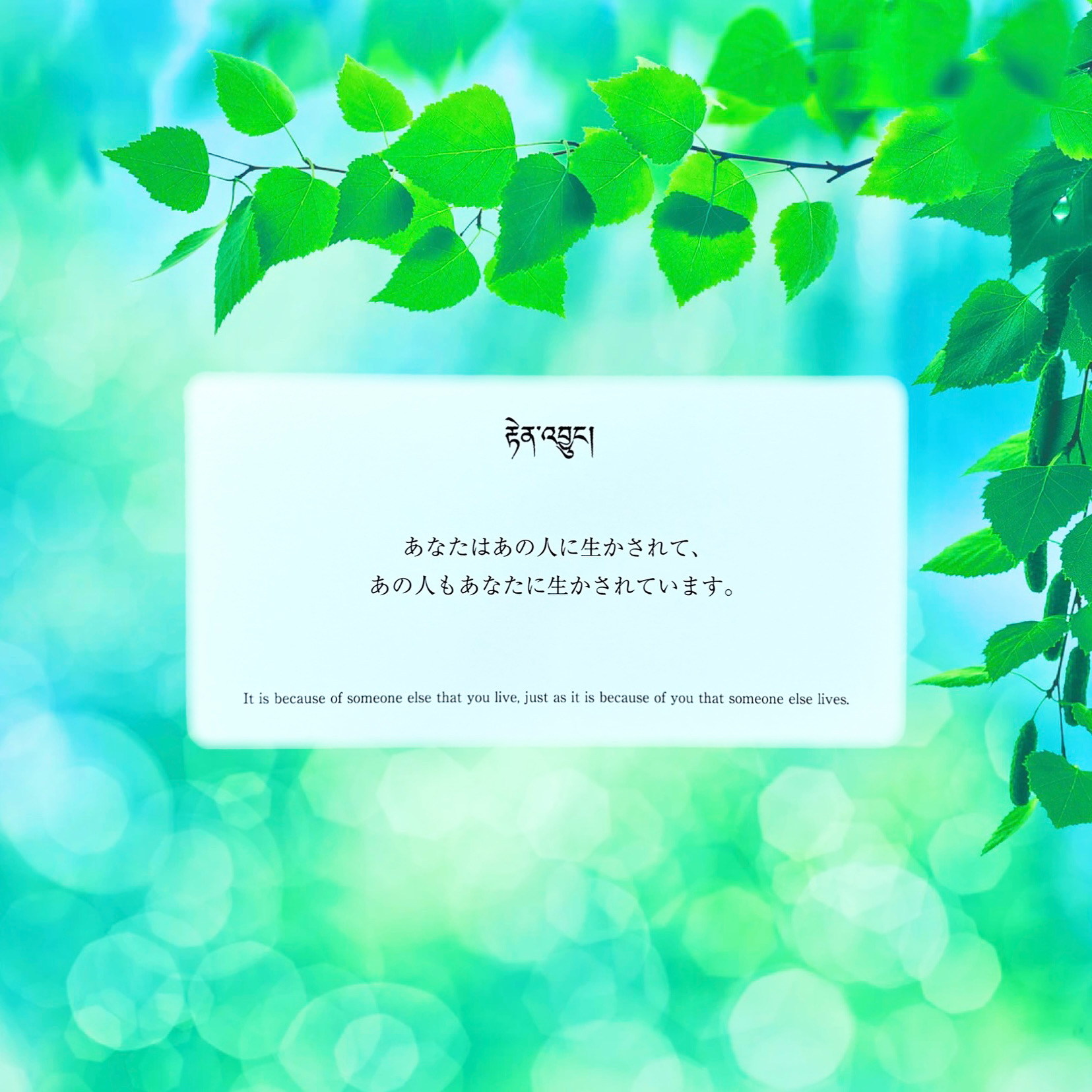 image0 (3).jpeg