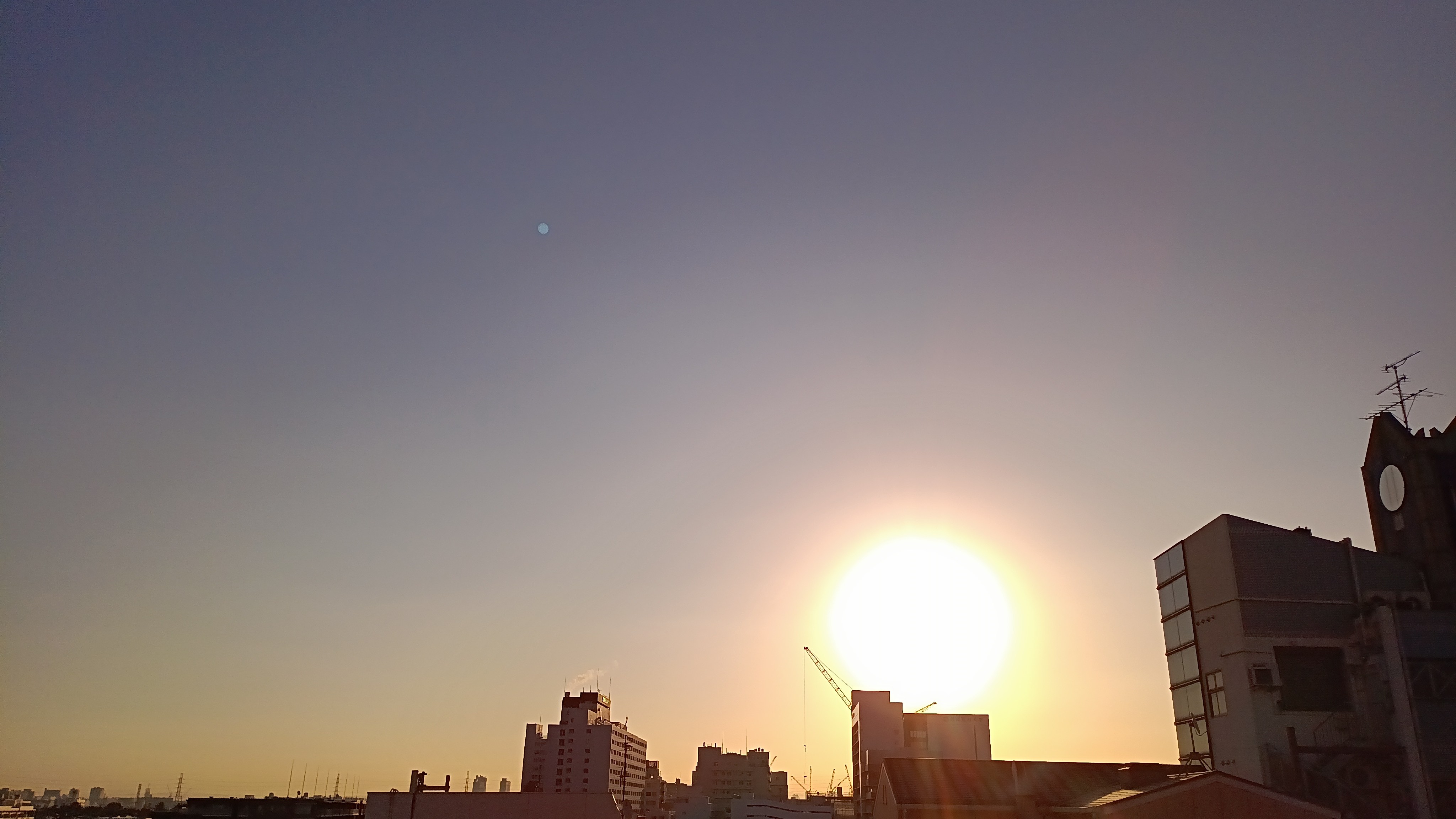 IMG_20250214_073743_228.jpg