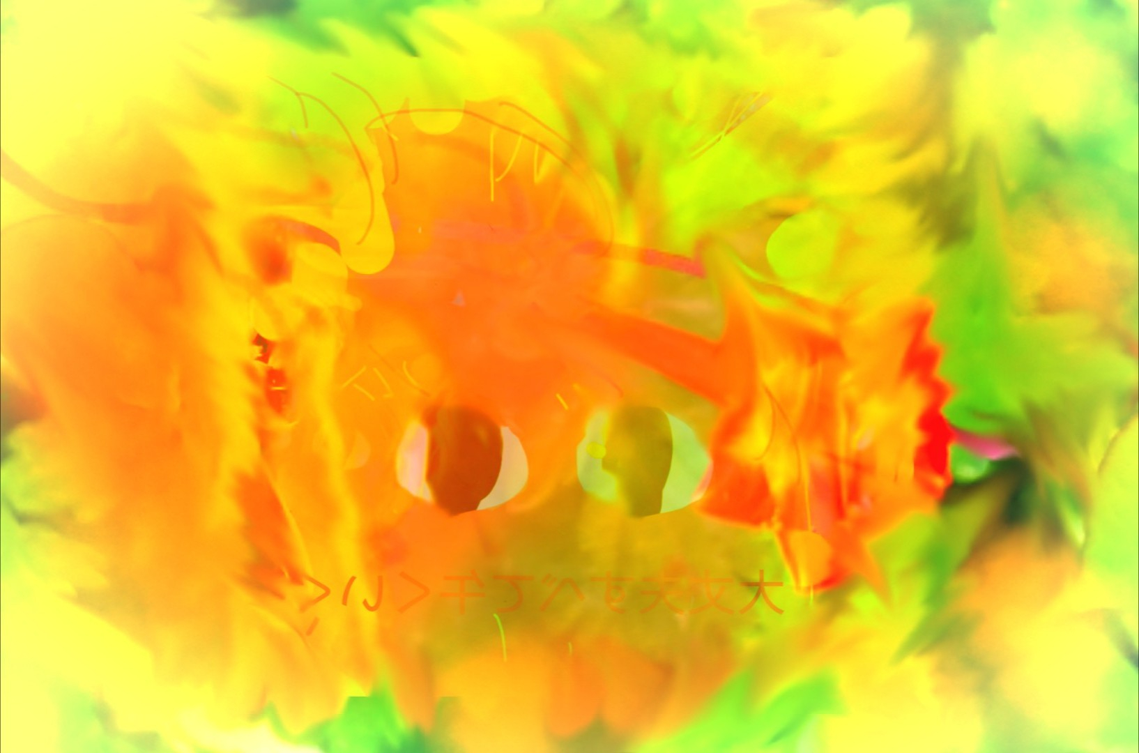 _20260120_061216.JPG