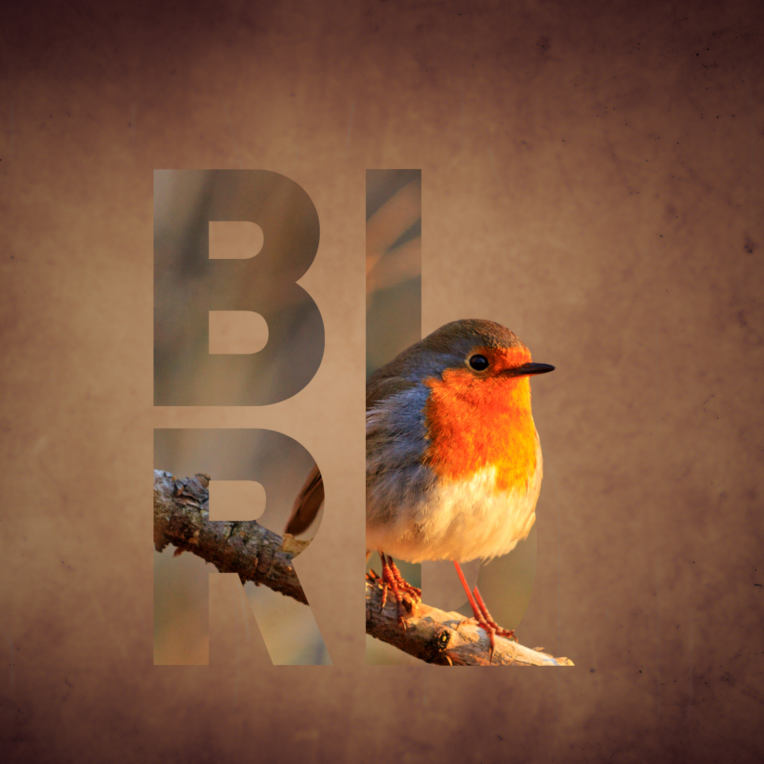 動物　鳥・虎.png
