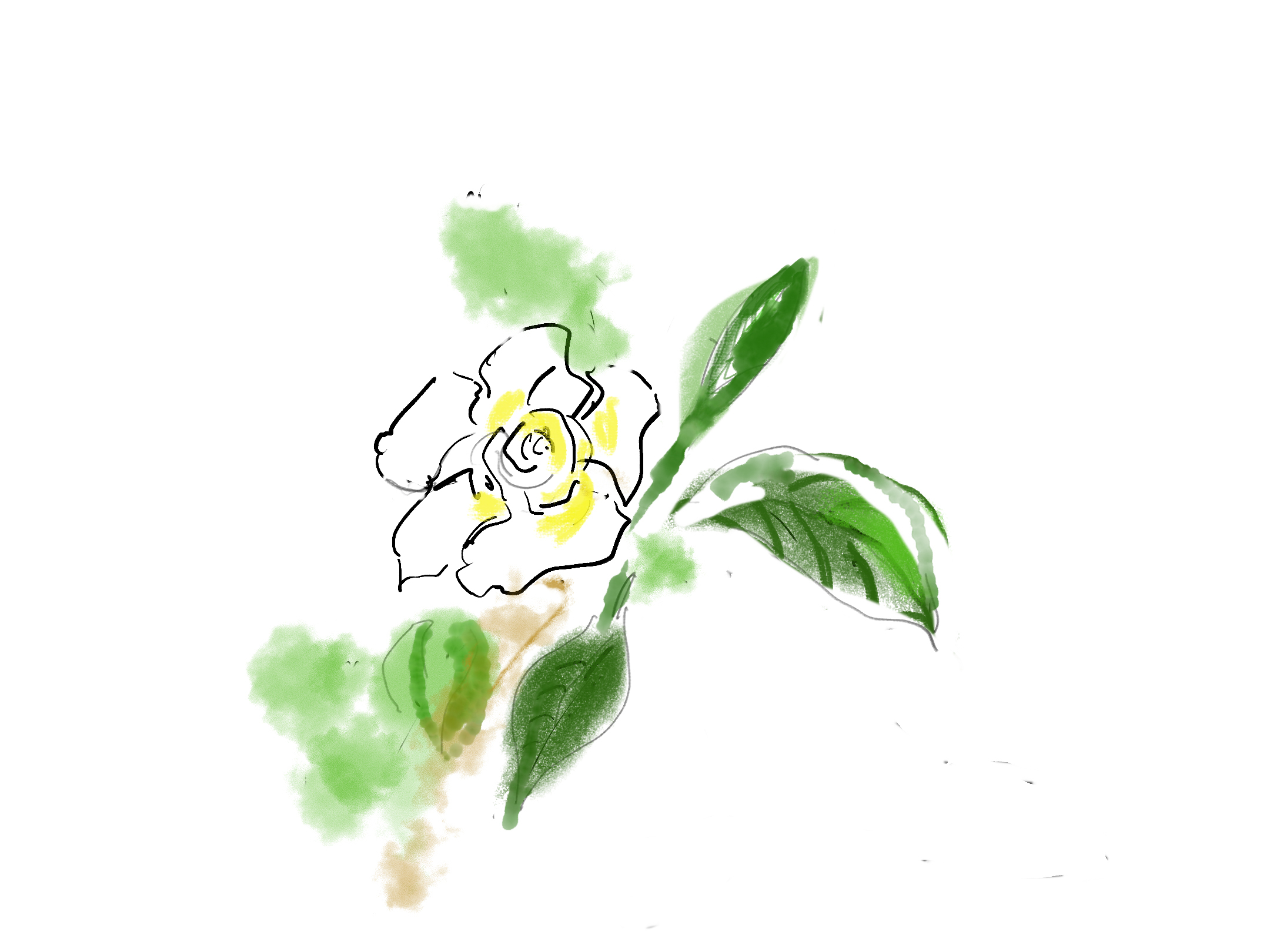 くちなしのはな.jpg