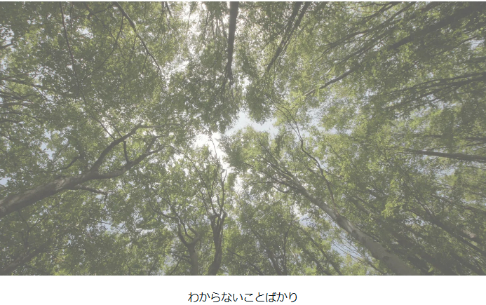 タイトルなし.png