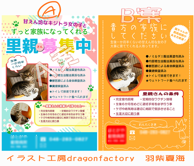 チラシデザイン見本.jpg