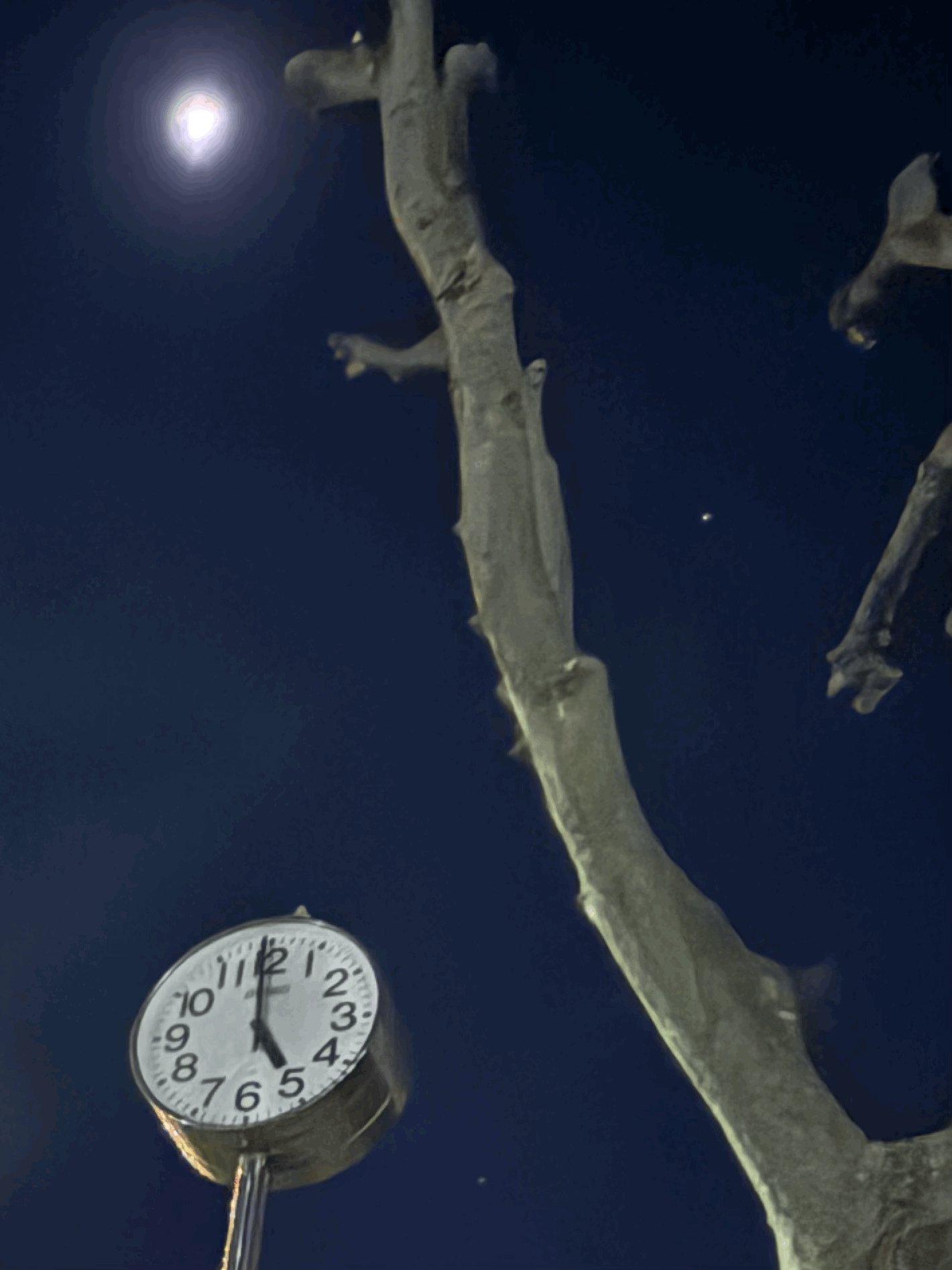 tempImage9T9zbo.gif