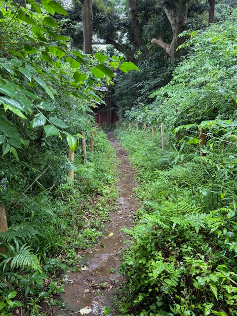 山道.jpg