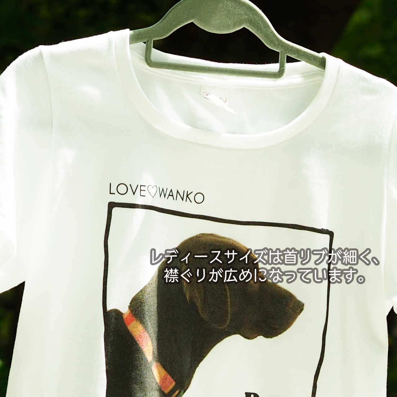 img_shirt@.jpg