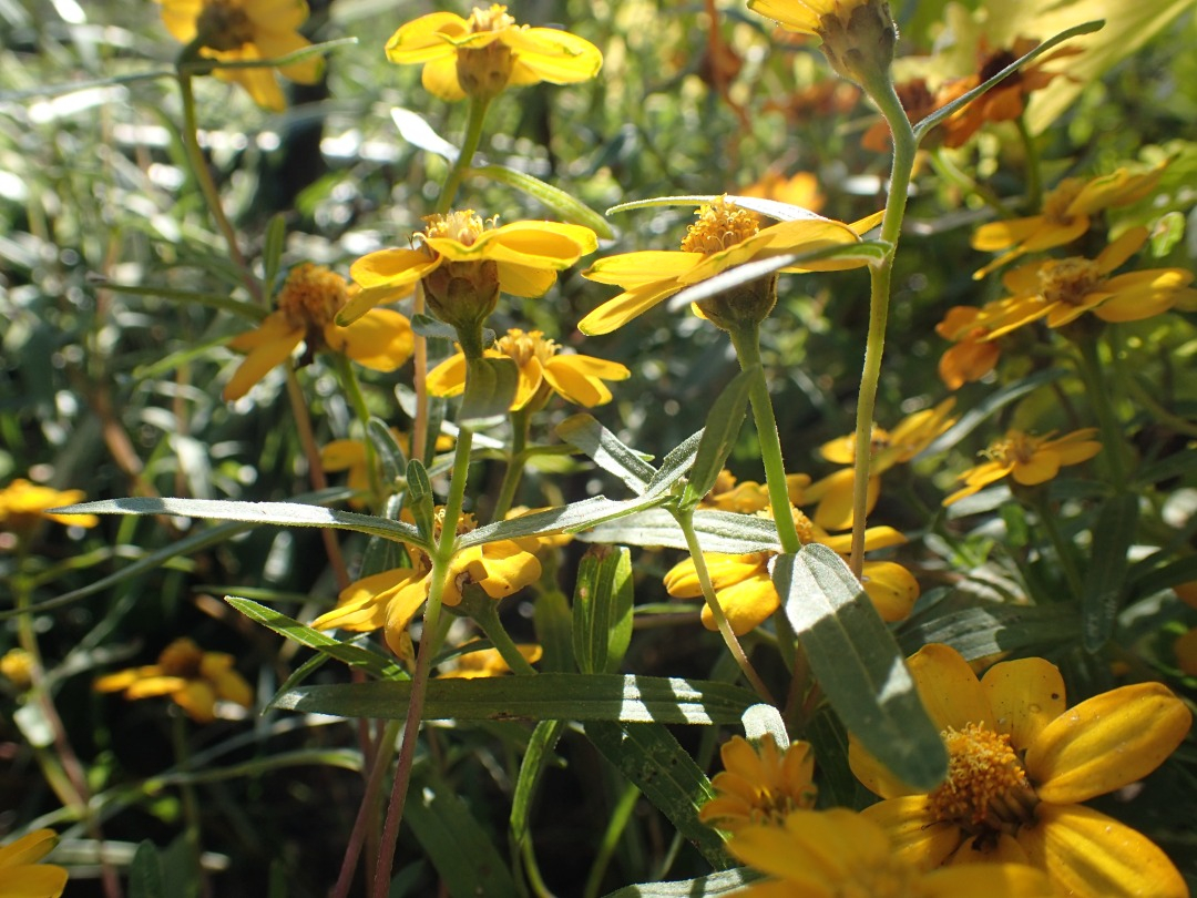 PA100087.JPG