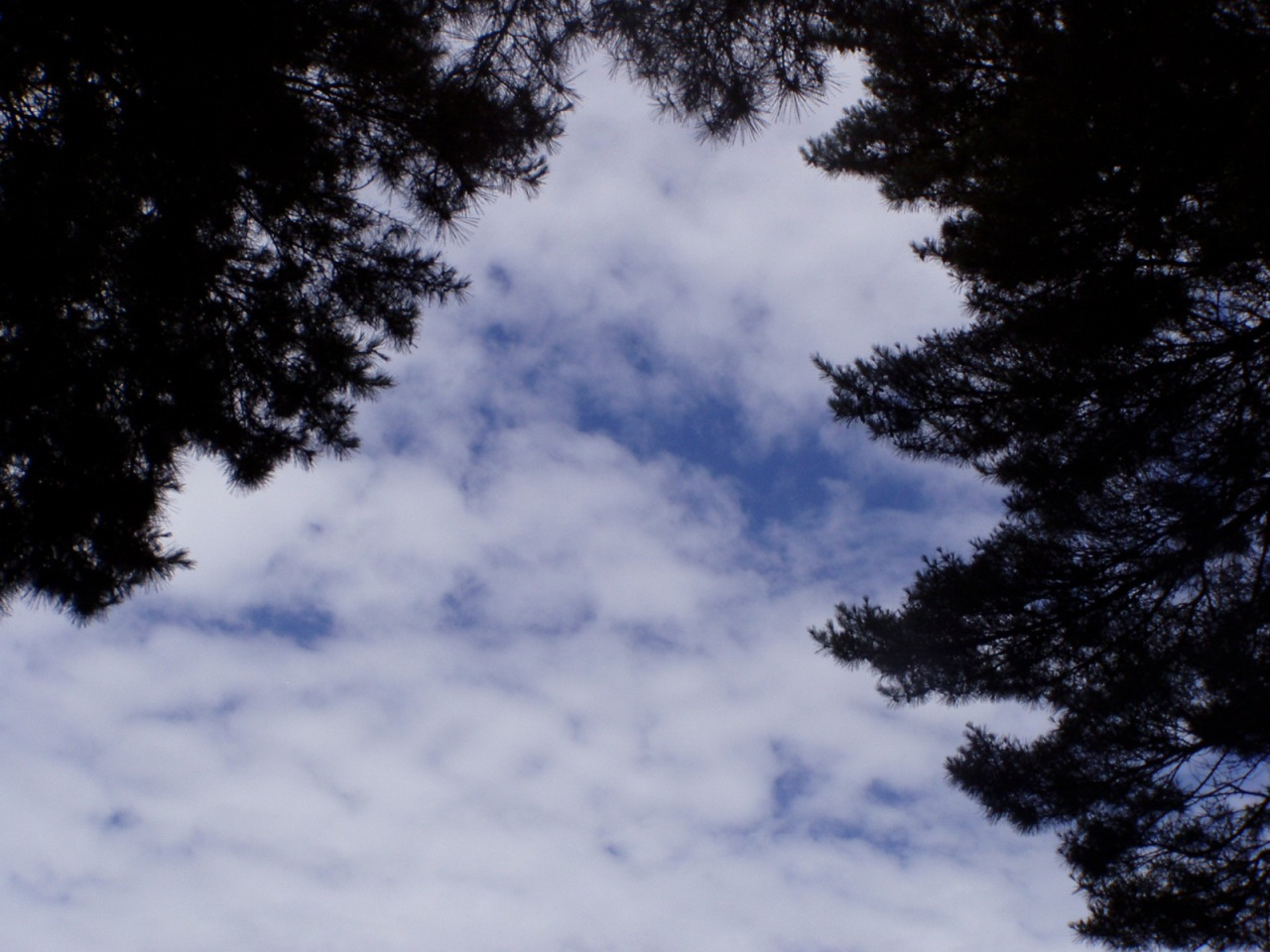 P1010081.JPG