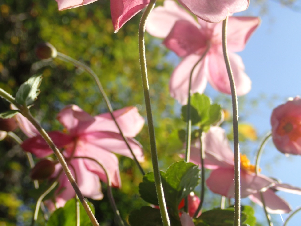 PA120679.JPG