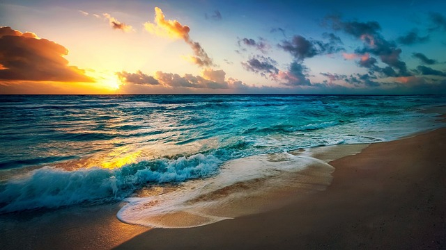 beach-2836300_640 (1).jpg