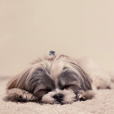 眠気.jpg