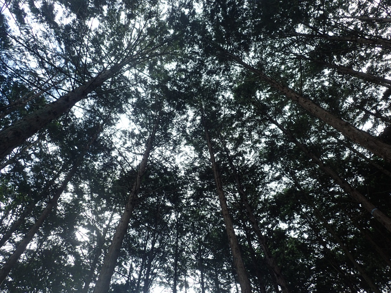 P7220598.JPG