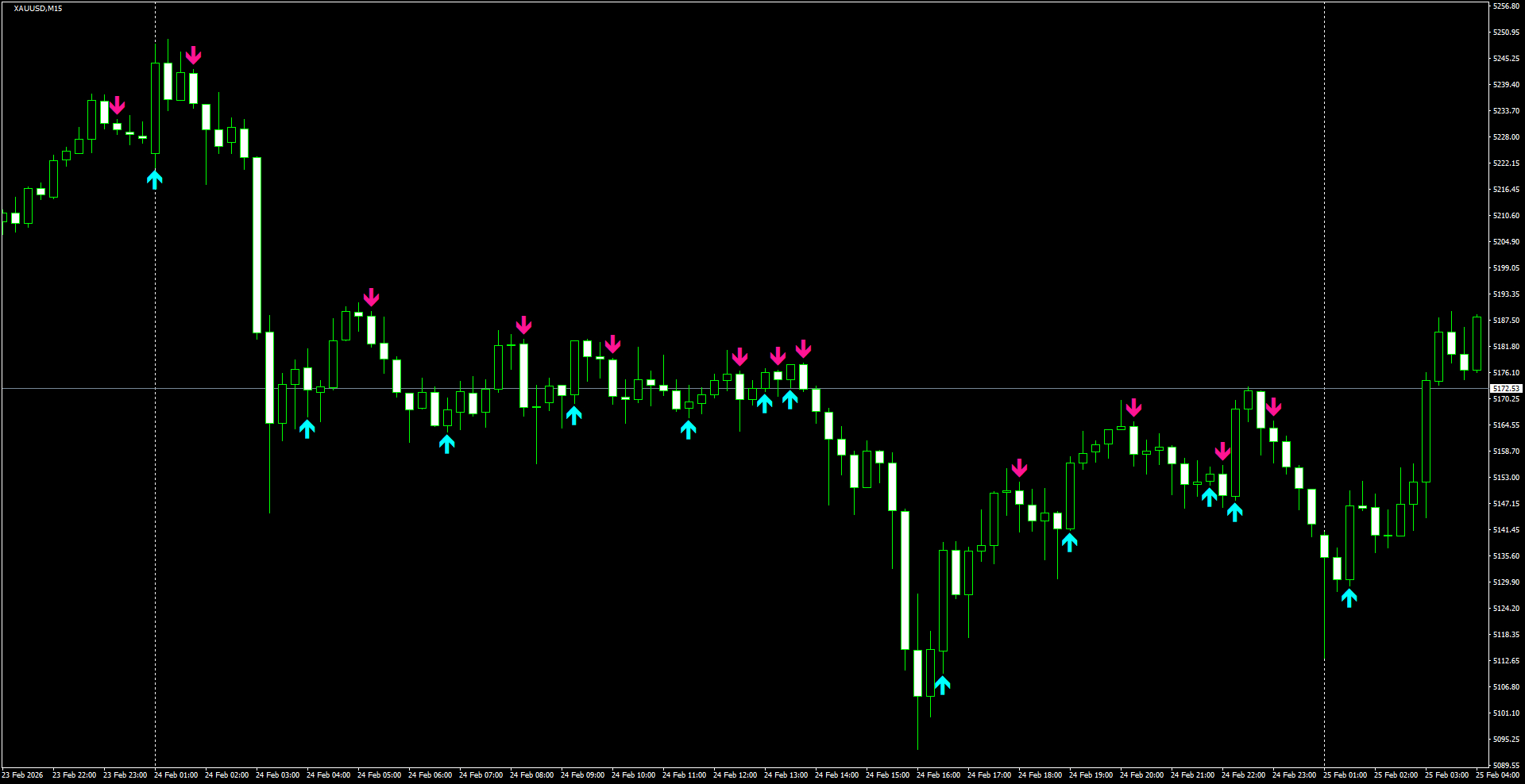 XAUUSD(M15)_2026.02.25_200802.png