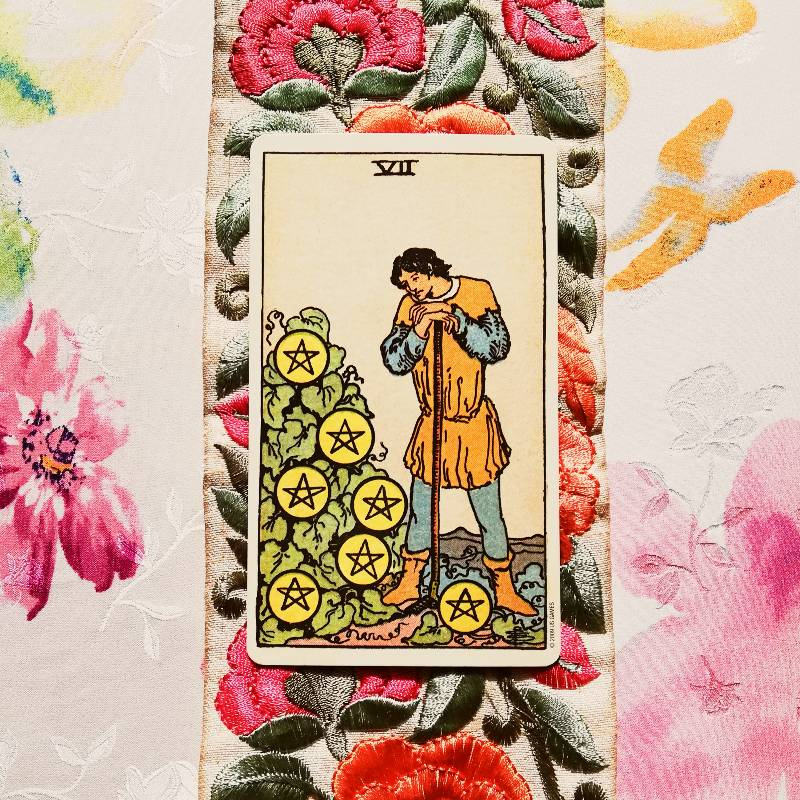 IMG_20241127_105704 (1).jpg