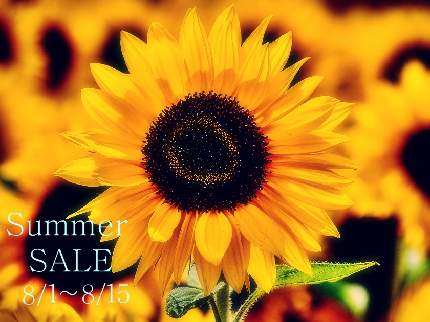 Summer SALE②.jpg